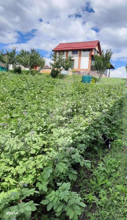 Casa si teren 3450mp, panorama superba asupra orasului - Imagine principală: 5/14