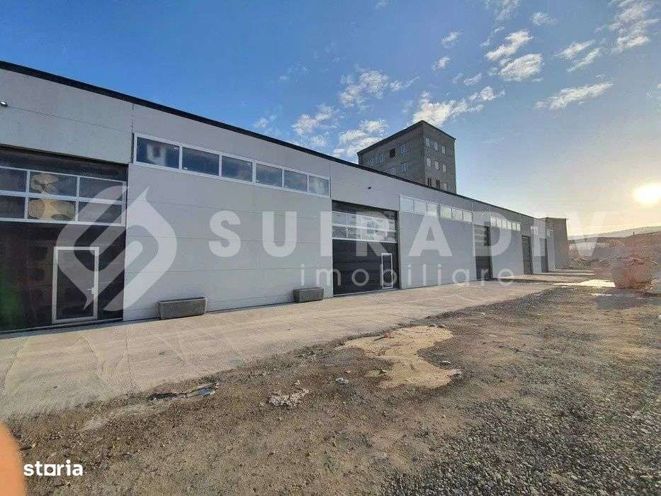 Hale industriale, acces TIR, utilități complete,zona Tăietura Turcului - Imagine principală: 2/3