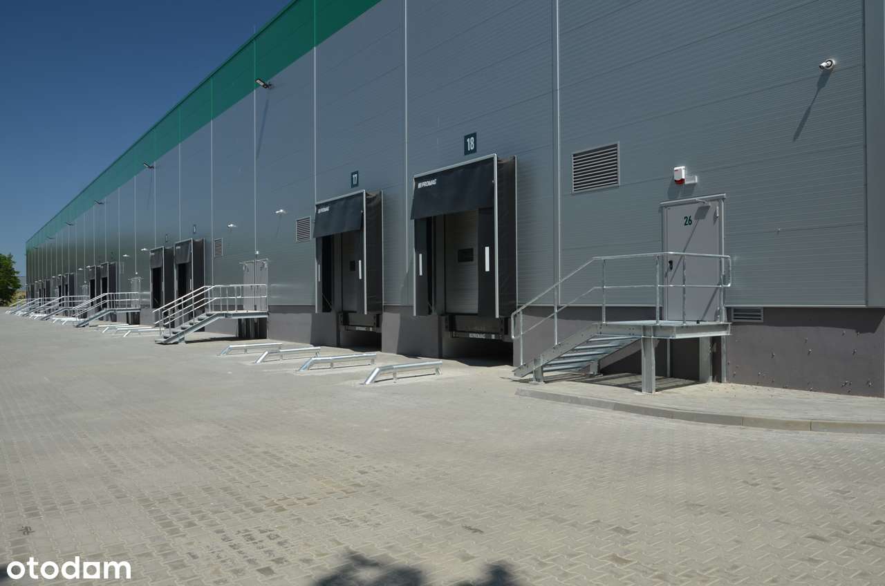 Magazyn od 1 350 m² |Poznań / S11 /A2 | 9,4 m | BREEAM | Klasa A - Pełny obrazek: 3/12
