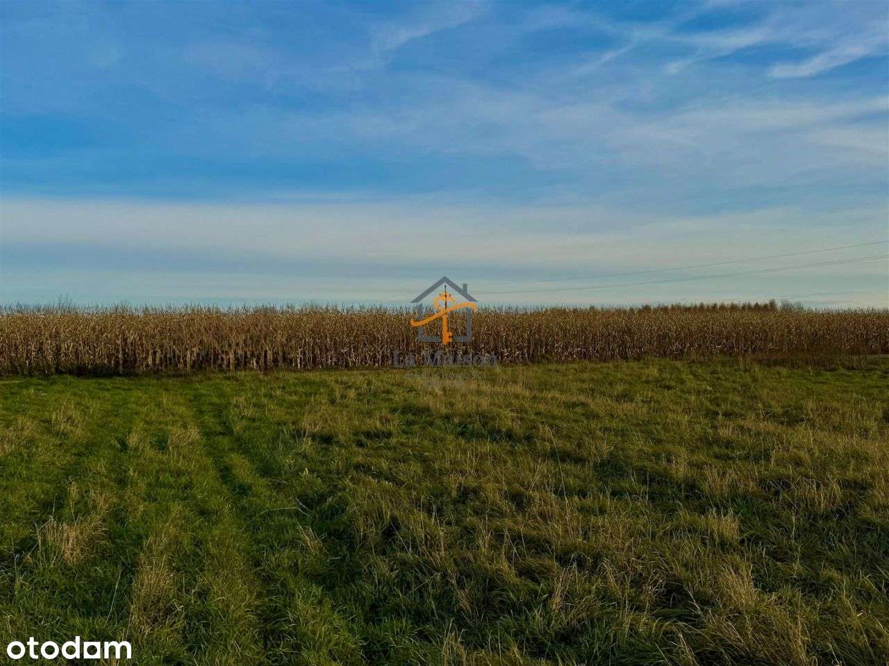 Rusicice, gm. Czernichów. 27 ar w zielonej okolicy - Pełny obrazek: 5/9