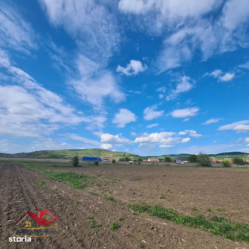 Imobiliare Maxim  teren extravilan Gușterița-1