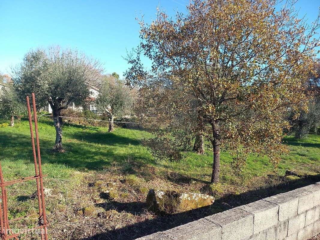 Terreno  para venda - Grande imagem: 4/5