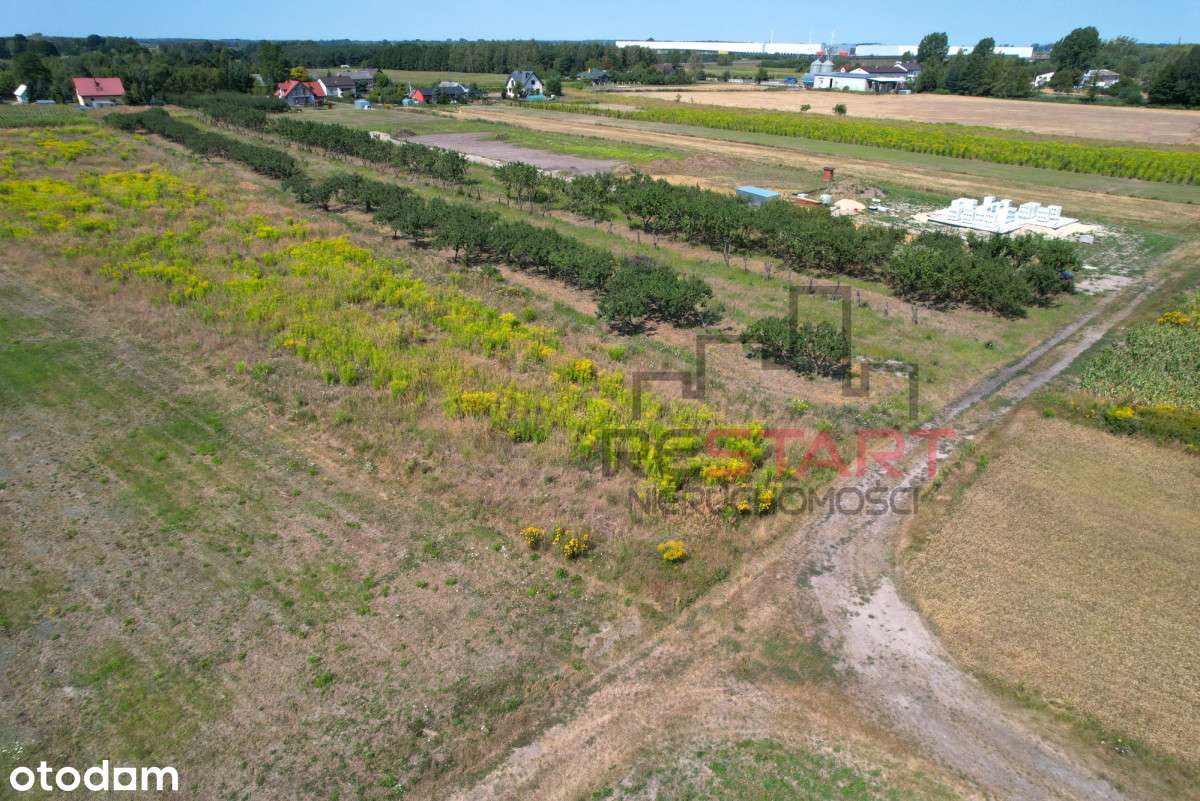 Działka budowlana Wiskitki! - Pełny obrazek: 4/7