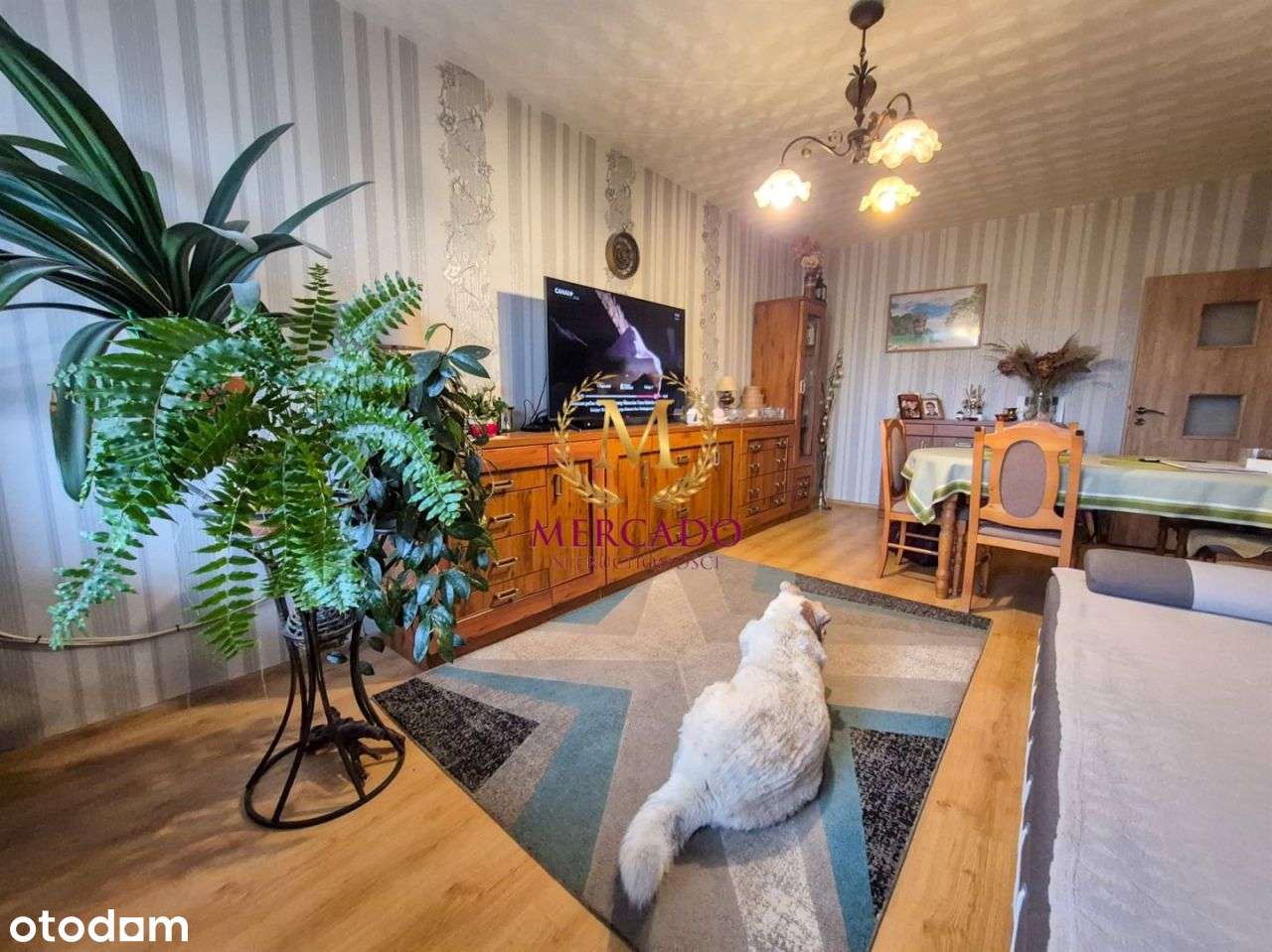 Mieszkanie z widokiem na park !-2