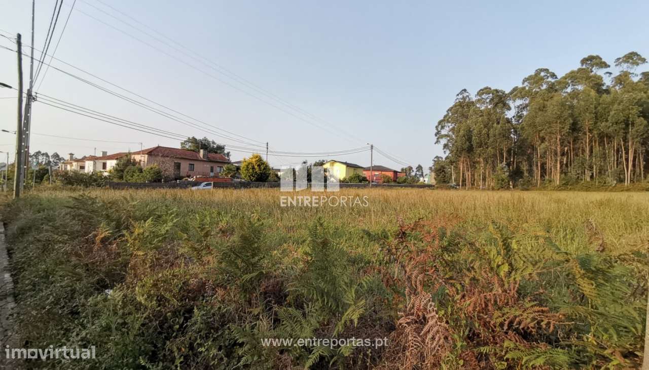 Venda de Terreno com 3000 m2 para construção, Laundos, Póvoa de Var - Grande imagem: 4/10