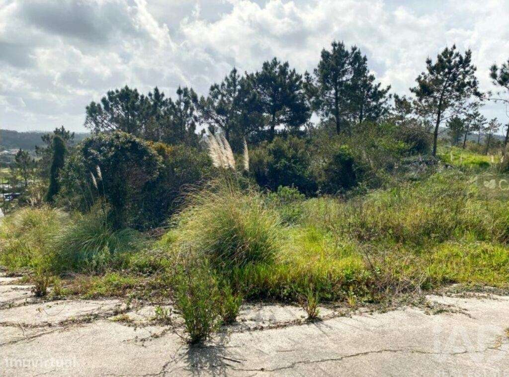 Terreno para construção em Queluz e Belas - Grande imagem: 5/19