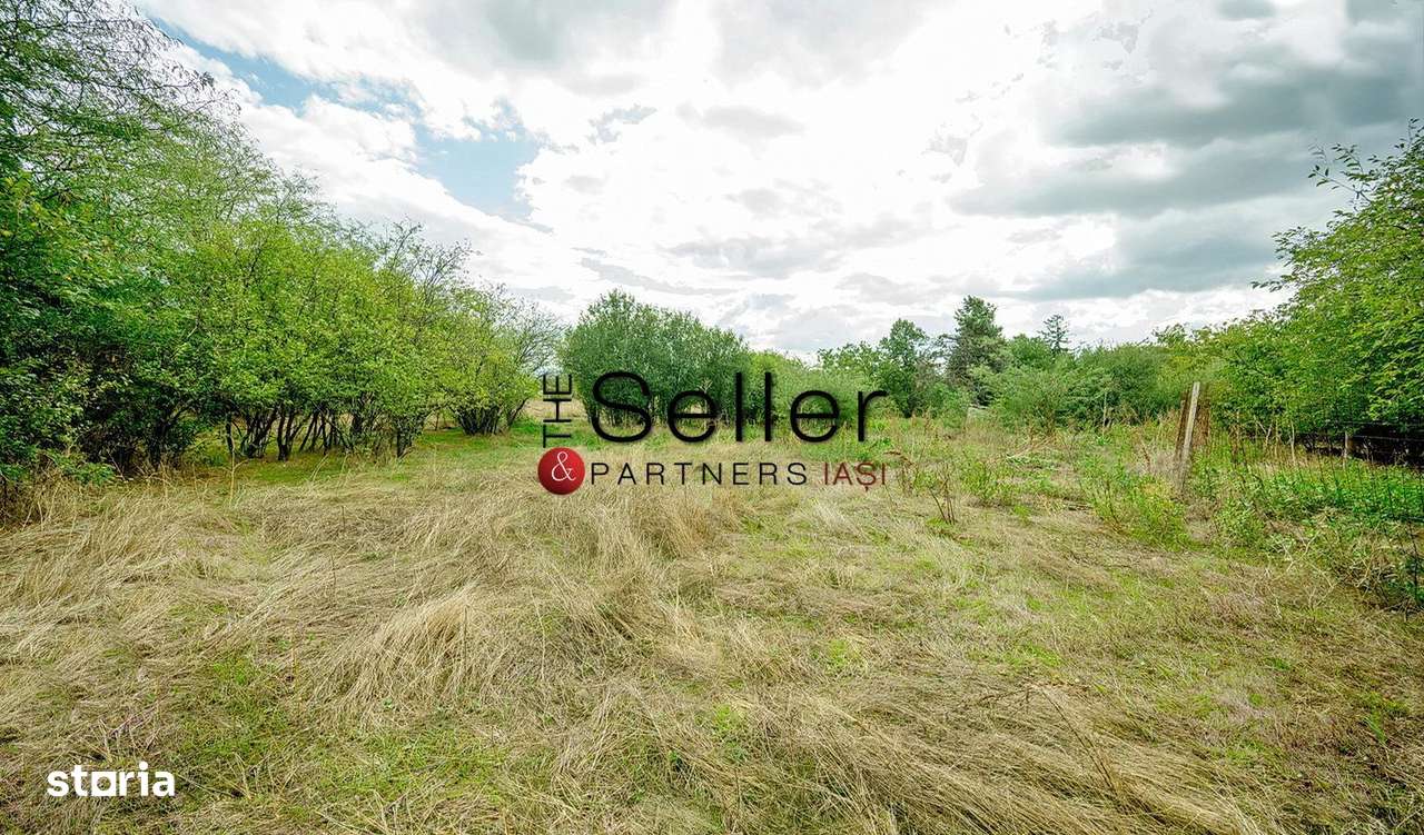 Teren 2.557 mp plan, langa pădurea Galata-10