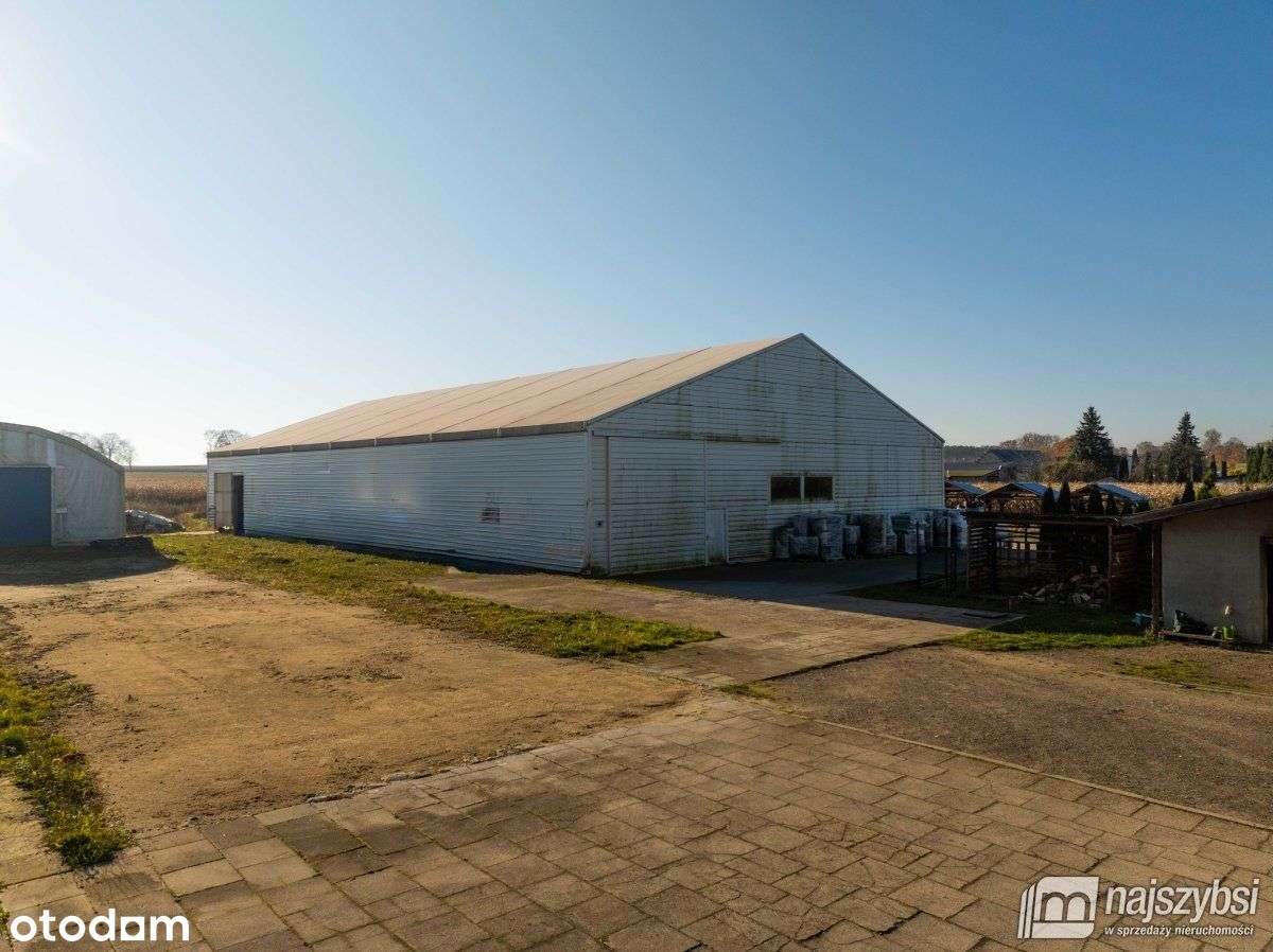 Bienice - hale z budynkiem mieszkalnym - Pełny obrazek: 5/20