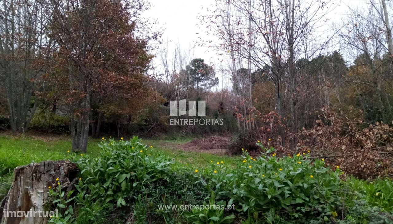 Venda Terreno c/ possibilidade de construção e área de 34000 m2, Lo - Grande imagem: 5/28