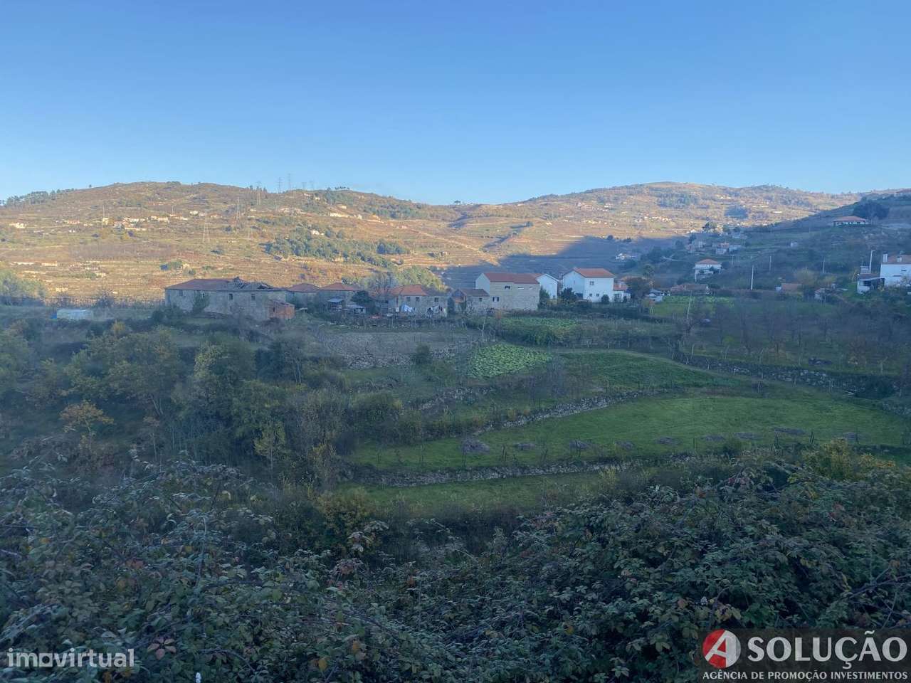 Quintinha com Casa - Próximo ao Douro - Grande imagem: 5/10