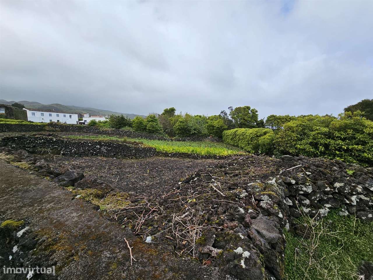 Terreno Rústico na Ilha do Pico - Lajes - Grande imagem: 3/5