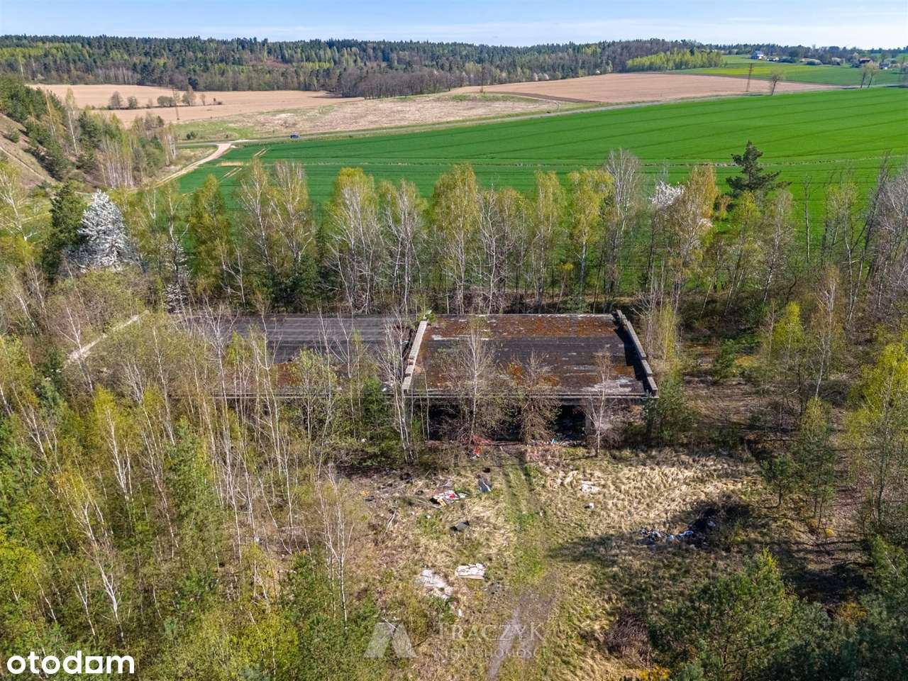 usługi,produkcja,magazyny, kołoBolesławca,prąd,OZ - Pełny obrazek: 5/10