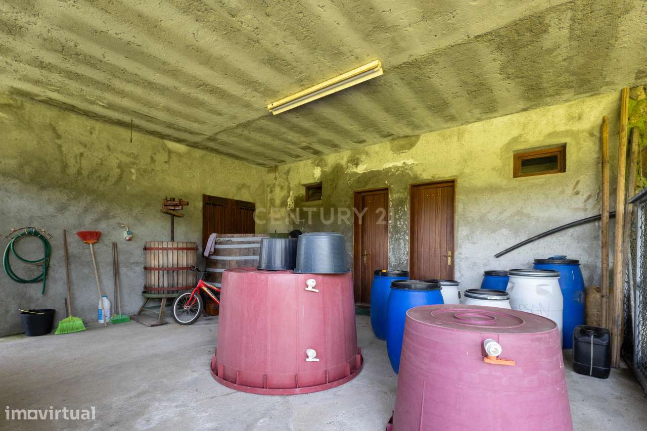Quinta de Luxo de Vinho e Natureza com Potencial de Expansão perto do-42