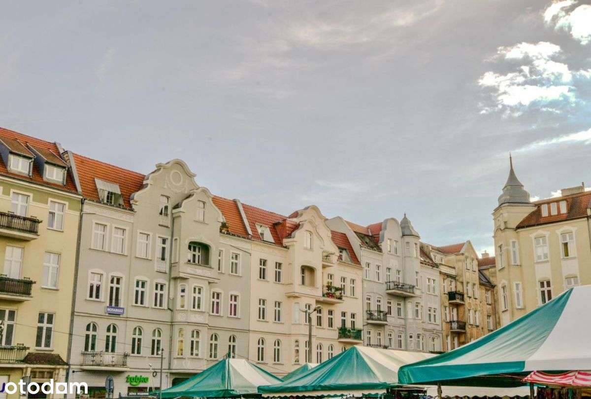 jasne wnętrze, nowoczesne udogodnienia, Jeżyce-11