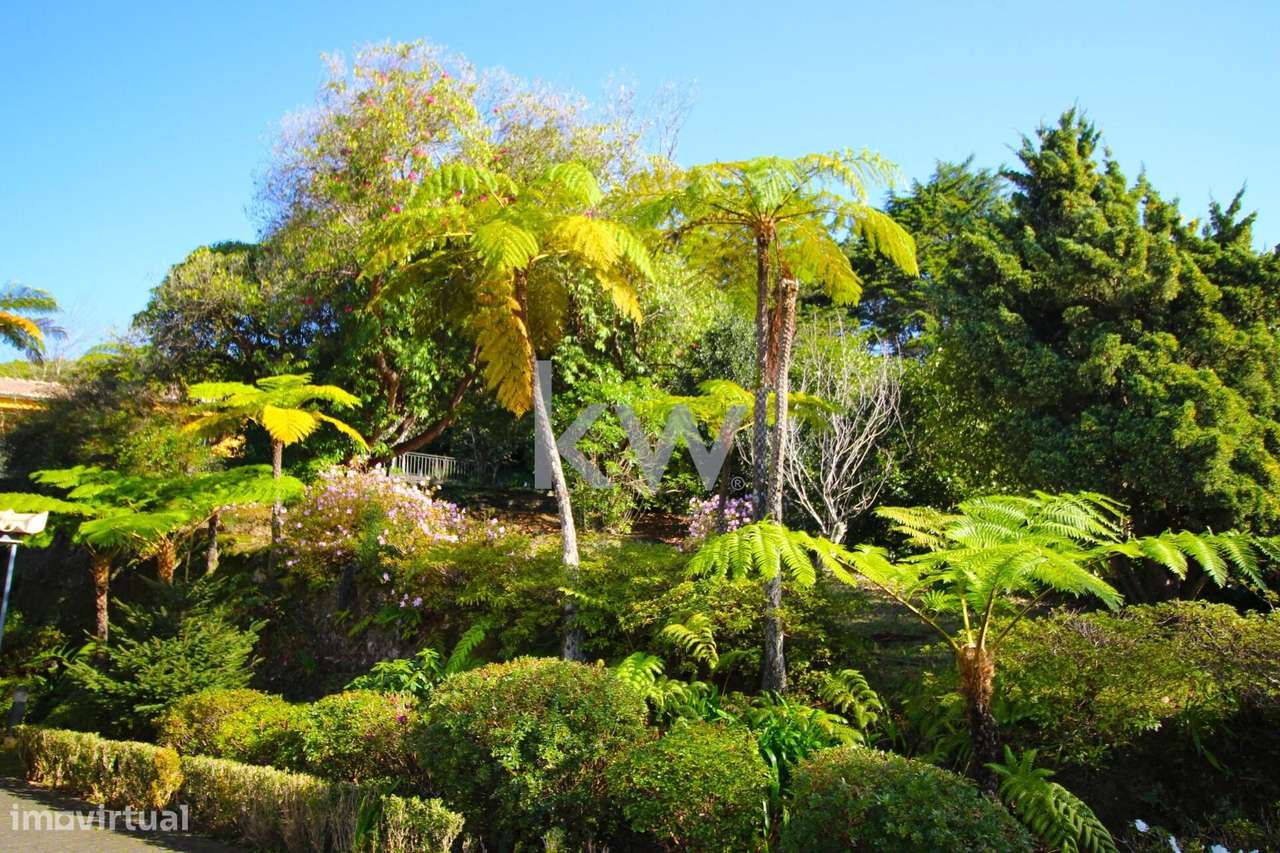 **Excelente Propriedade à Venda: Um Oásis de Natureza e Conforto** - Grande imagem: 2/60