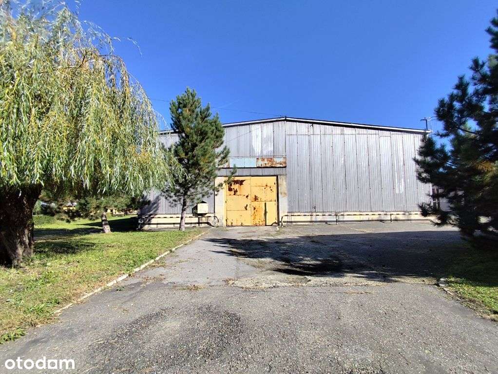 Zakład produkcyjno-magazynowy PU 5000m2 IGLOOPOL Brzesko-13