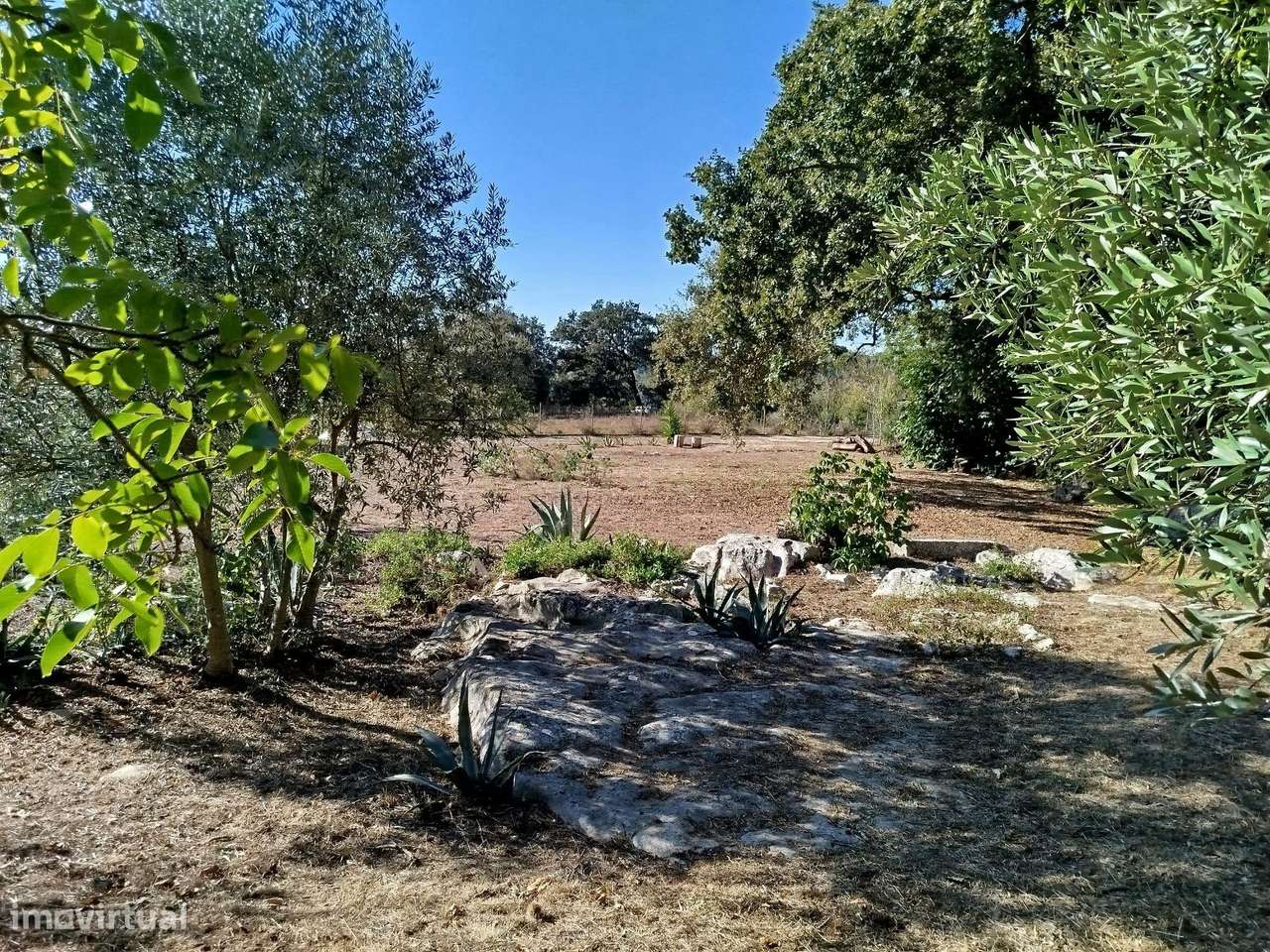 Terreno para Construção de uma moradia com Projeto Aprovado – Casais d - Grande imagem: 5/12