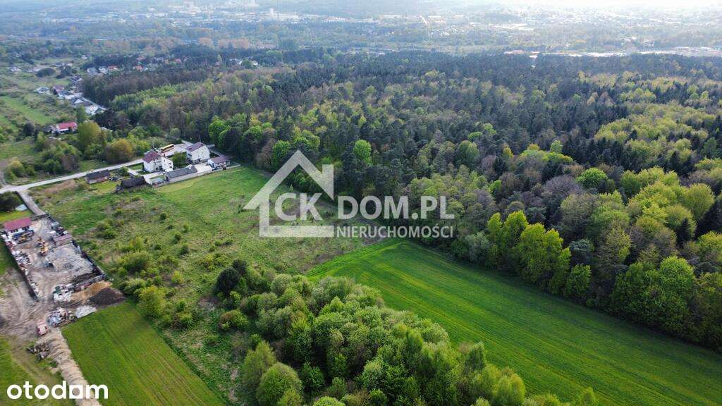 Duża działa Kielce ul. Posłowicka - Pełny obrazek: 4/20