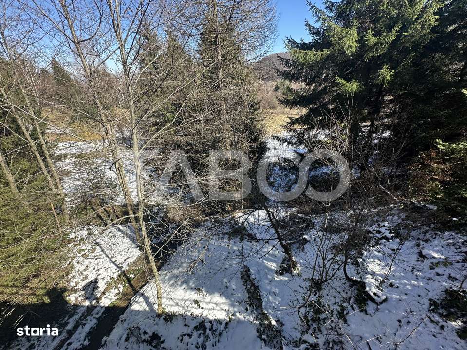 Teren extravilan 4600 mp cu acces la rau Satul de Vacanta Dejani - Imagine principală: 5/5