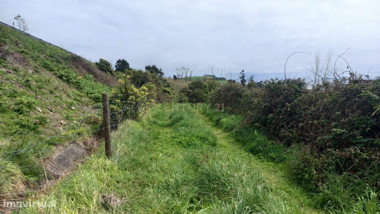 Terreno Rústico em Água de Pau, Ilha de São Miguel - Grande imagem: 4/4