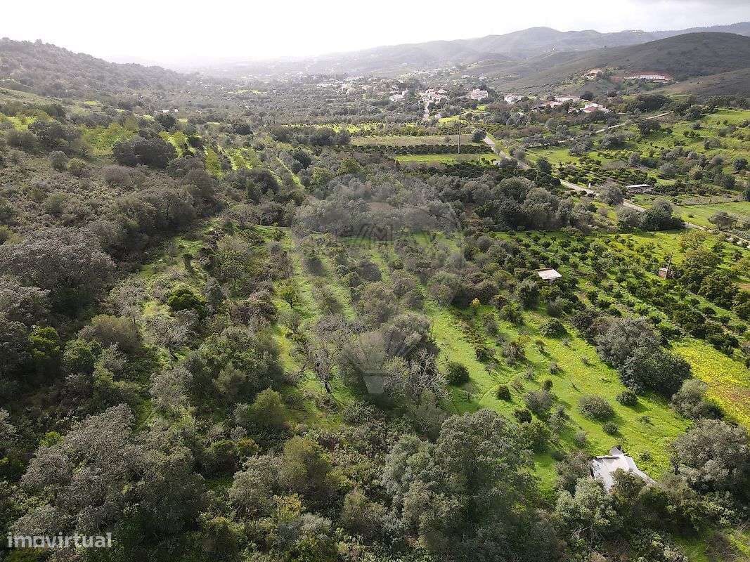 Terreno  para venda - Grande imagem: 3/10