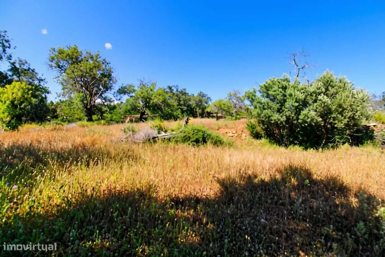 Terreno rústico de 5080 m2 à venda em Estoi, Faro-5