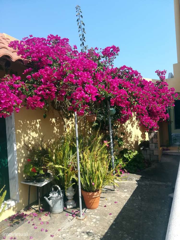 Magnífica propriedade constituída por moradia bi-familiar e armazém.-22