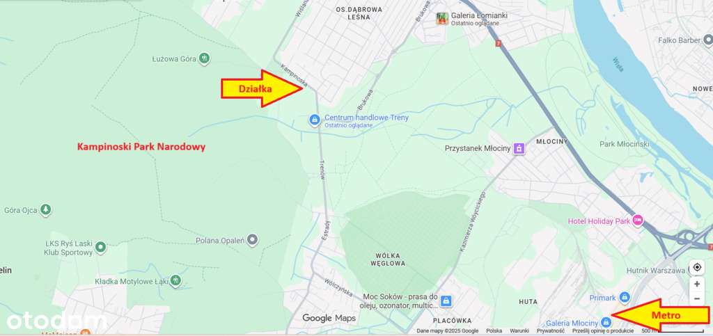 Dąbrowa Leśna, w Kampinoskim parku, MPZP, Unikat!!-12