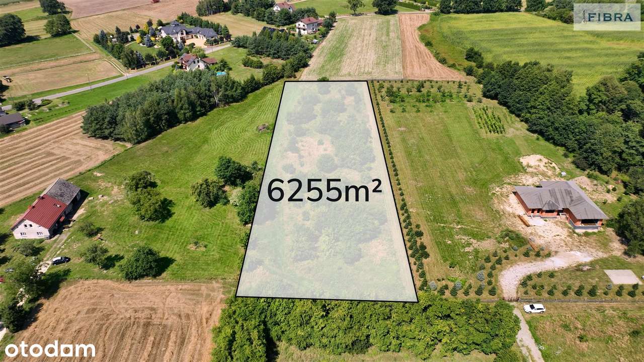 Siedlisko. Nowa niższa cena. - Pełny obrazek: 5/20