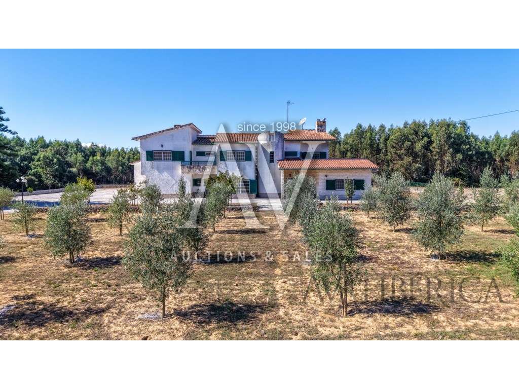 Quinta com 3,14 Hectares e Piscina | Ferreira do Zêzere - Grande imagem: 4/56