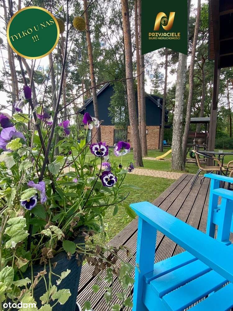 domy i apartamenty w Dębkach nad morzem !-2