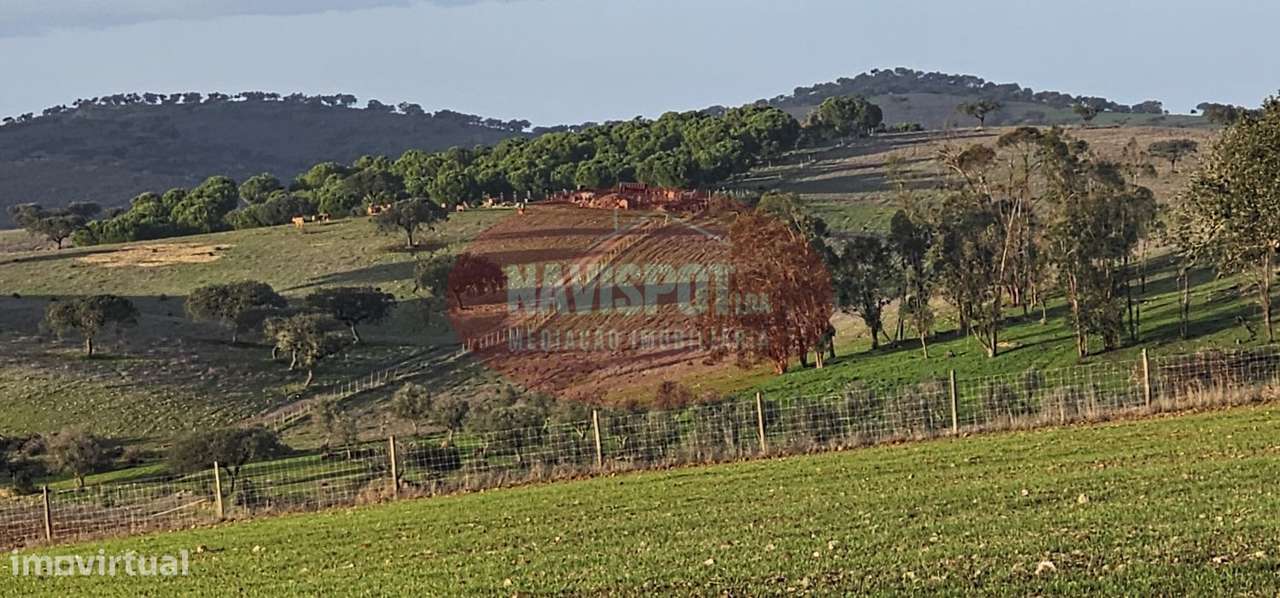 Herdade com 36 ha em Santo António do Baldio-13