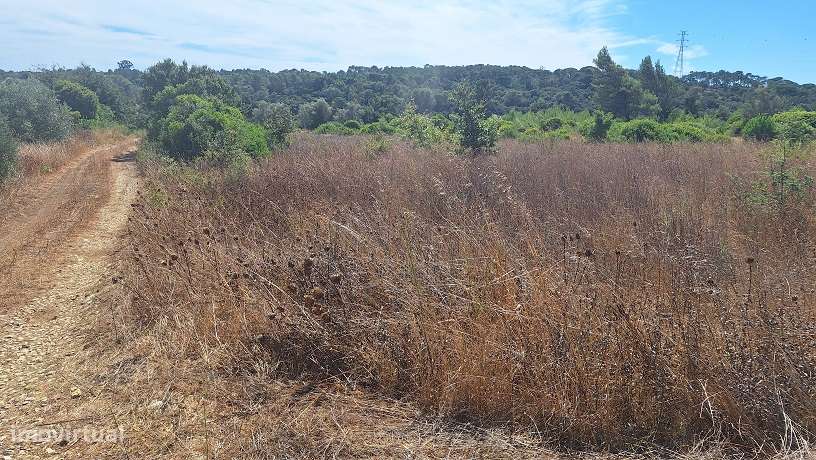 Terreno, 4 040 m², Pontével - Grande imagem: 4/5