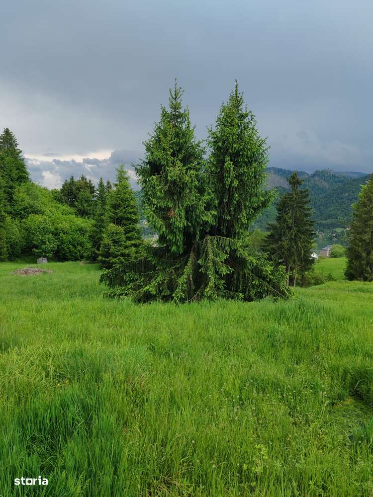 Teren 4150m Colibita - Imagine principală: 2/4