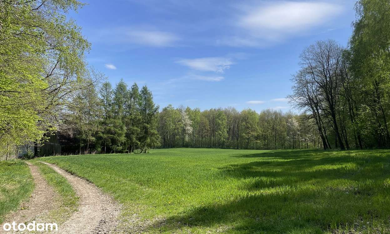 Siedlisko na polanie, pod stadninę lub agroturystykę, 30 min od KRK-5