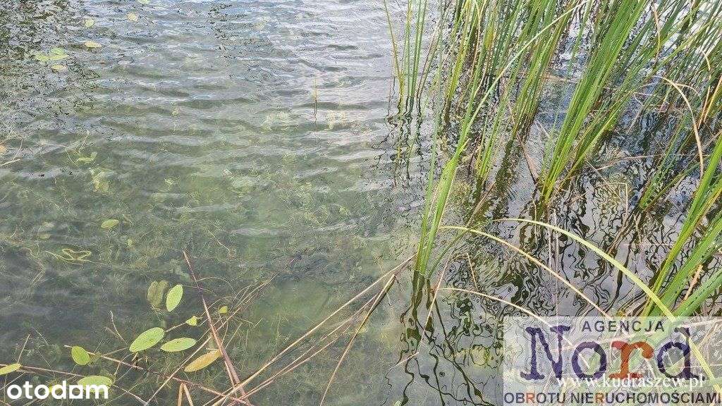 Działka z linią brzegową jeziora Gaładuś - Pełny obrazek: 4/12
