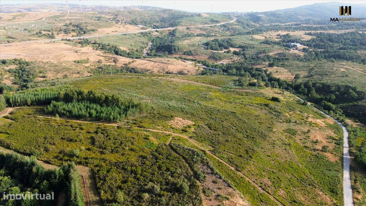 TERRENO COM + de 6 HECTARES | 63.000m2-7