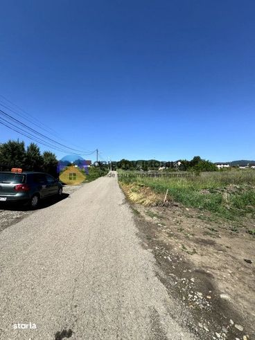 Teren Piatra Neamt strada Plantelor