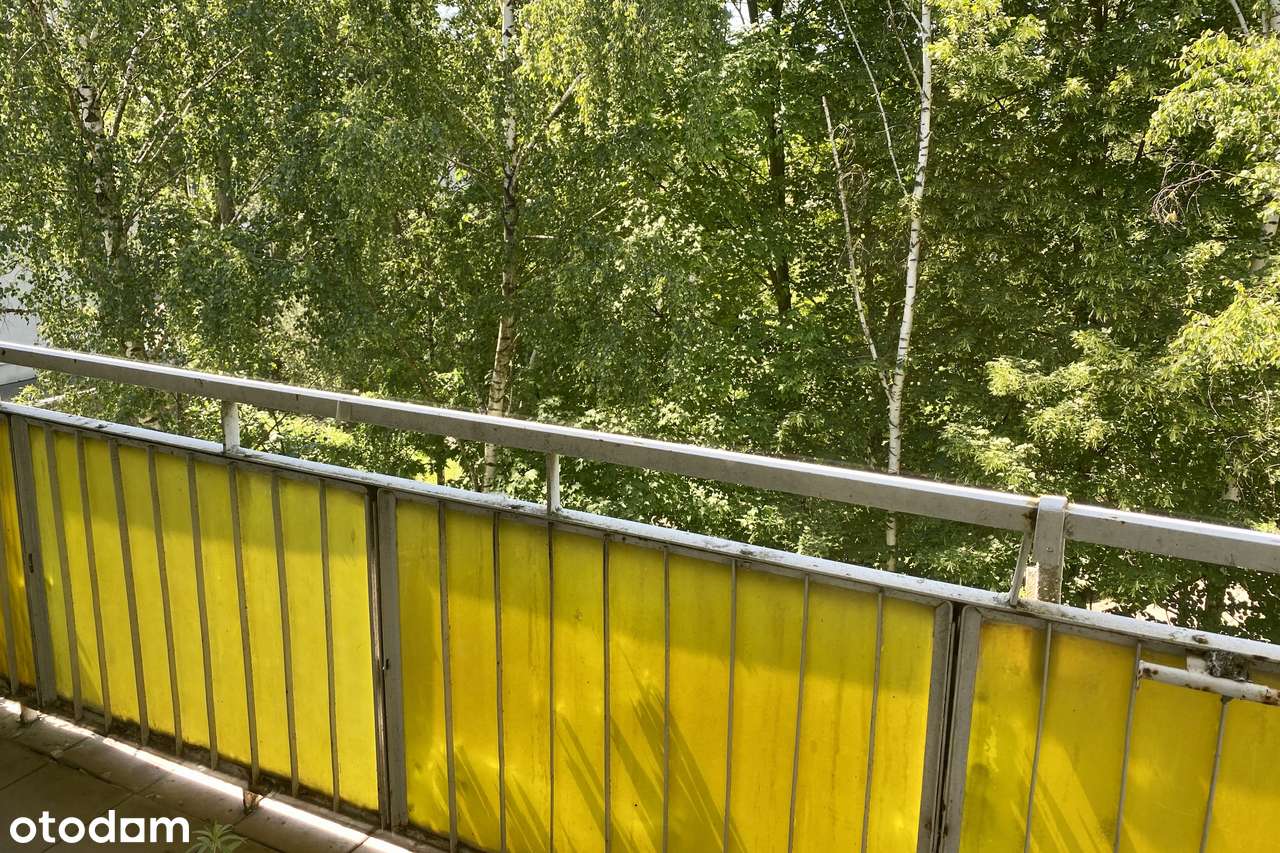 Duże mieszkanie - 6 pokoi , os. Chrobrego Poznań Piątkowo-12