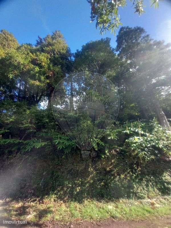 Terreno  para venda - Grande imagem: 4/8