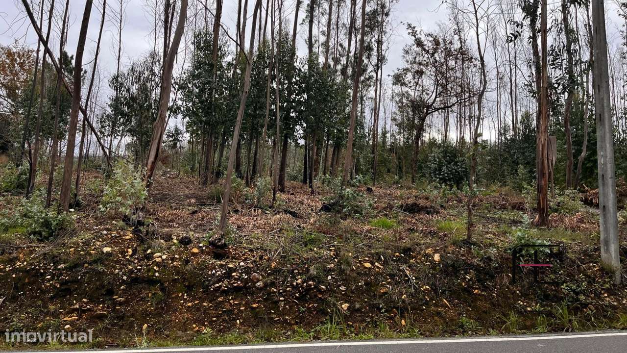 Terreno Para Construção  Venda em Macinhata do Vouga,Águeda - Grande imagem: 2/5