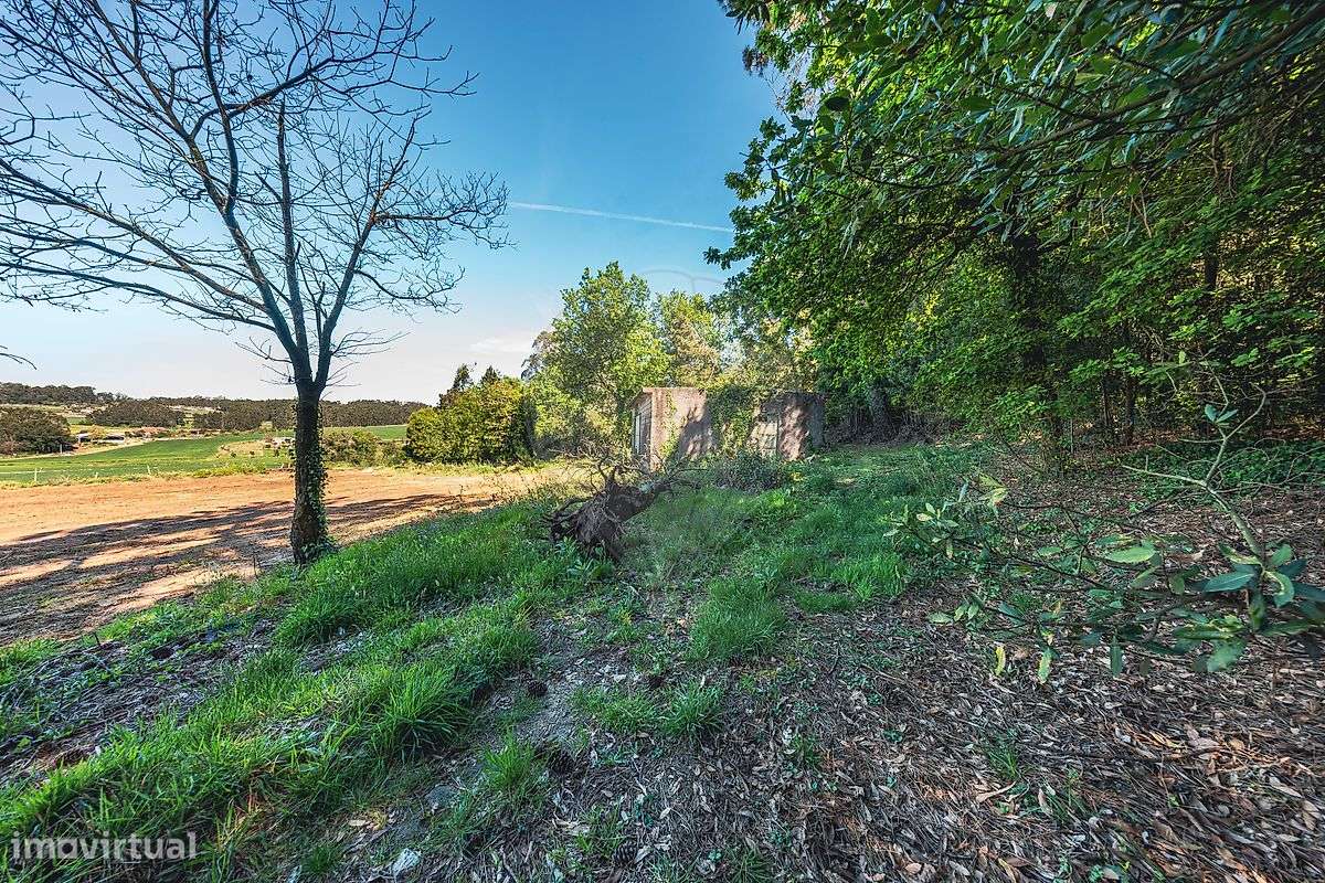 Moradia T4 para venda-29