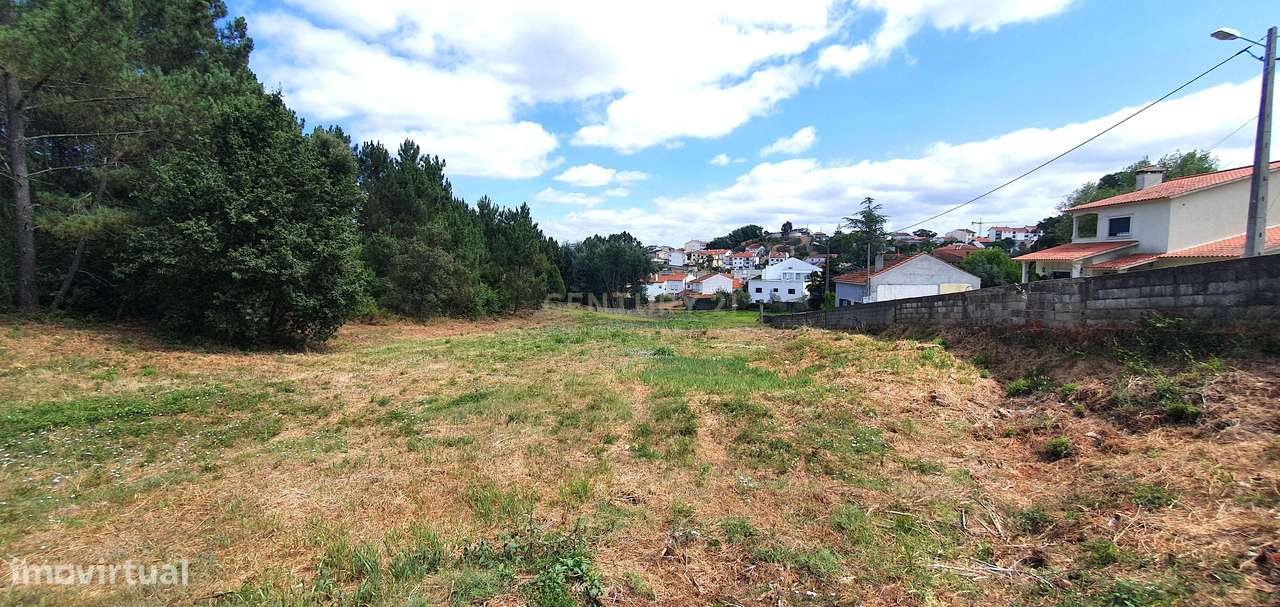 Terreno 5747 m2 I Fala - São Martinho do Bispo I Viabilidade Construçã-8