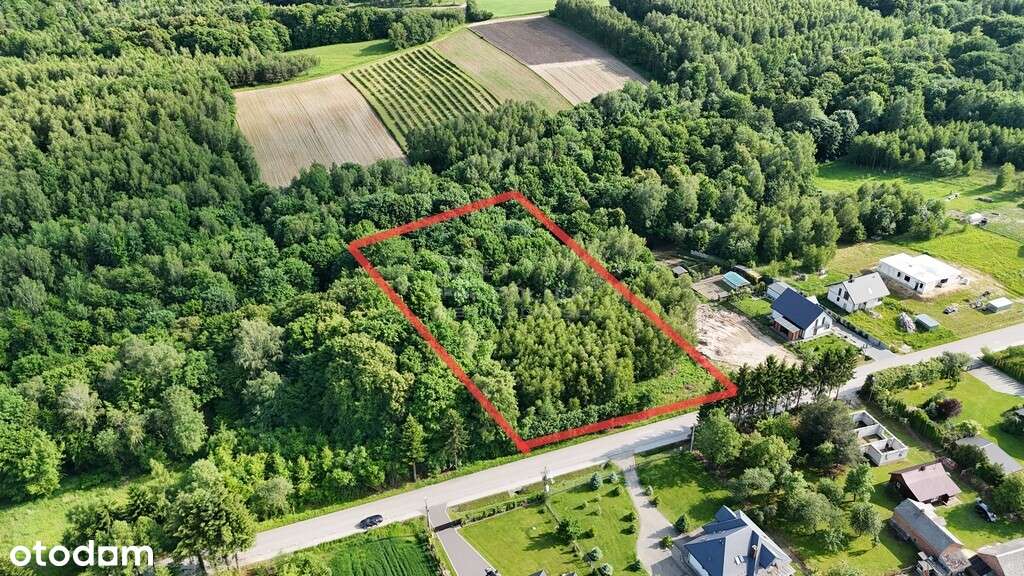 atrakcyjna działka budowlano-rekreacyjna Majdanek - Pełny obrazek: 4/7