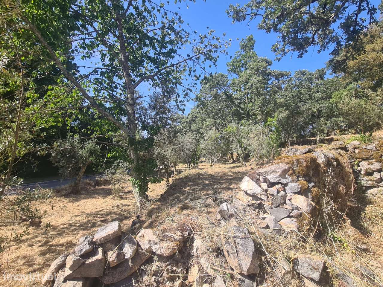 Marvão - Moradia ant. 1951 - Lote 2878 m2, Serra S. Mamede-14