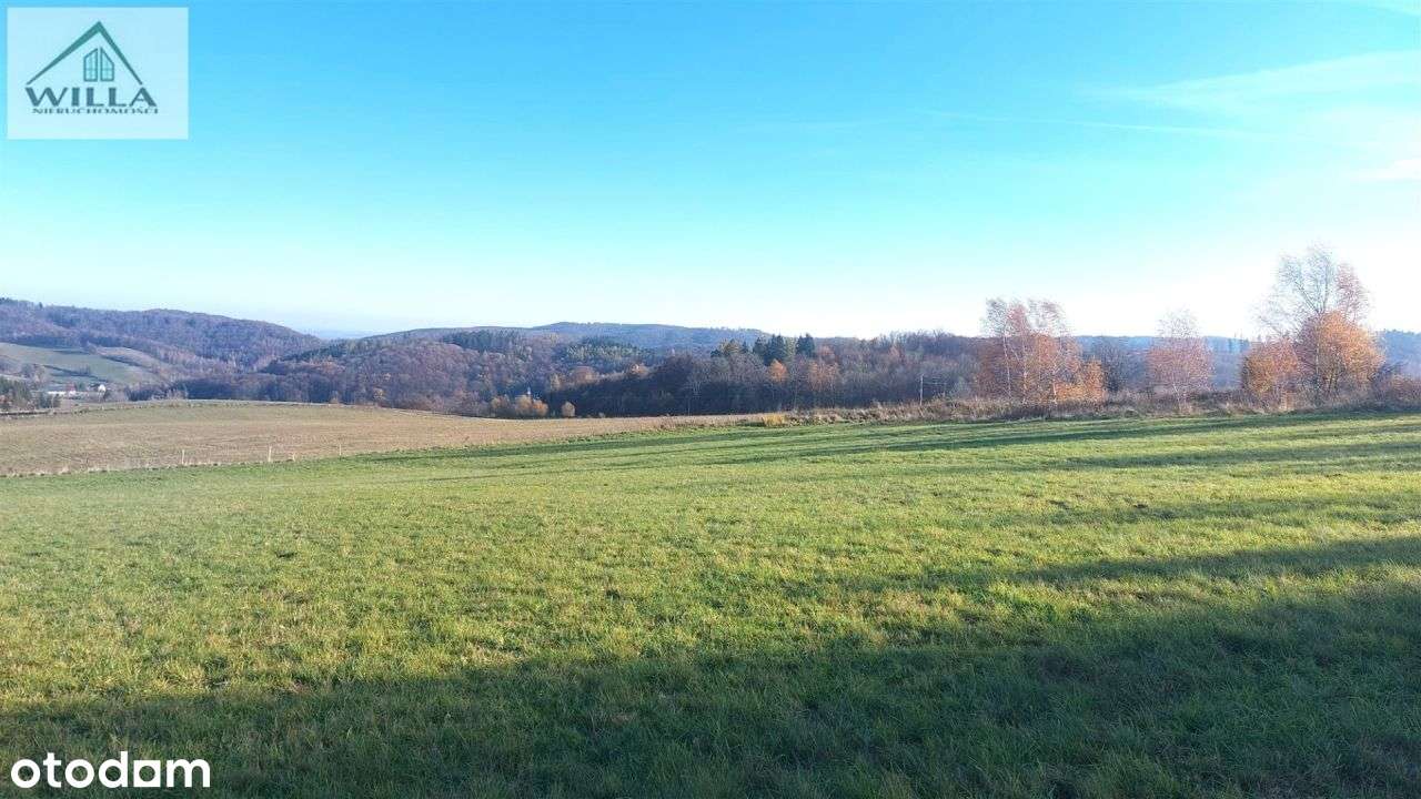 Działka w ustronnej i malowniczej lokalizacji. - Pełny obrazek: 4/7