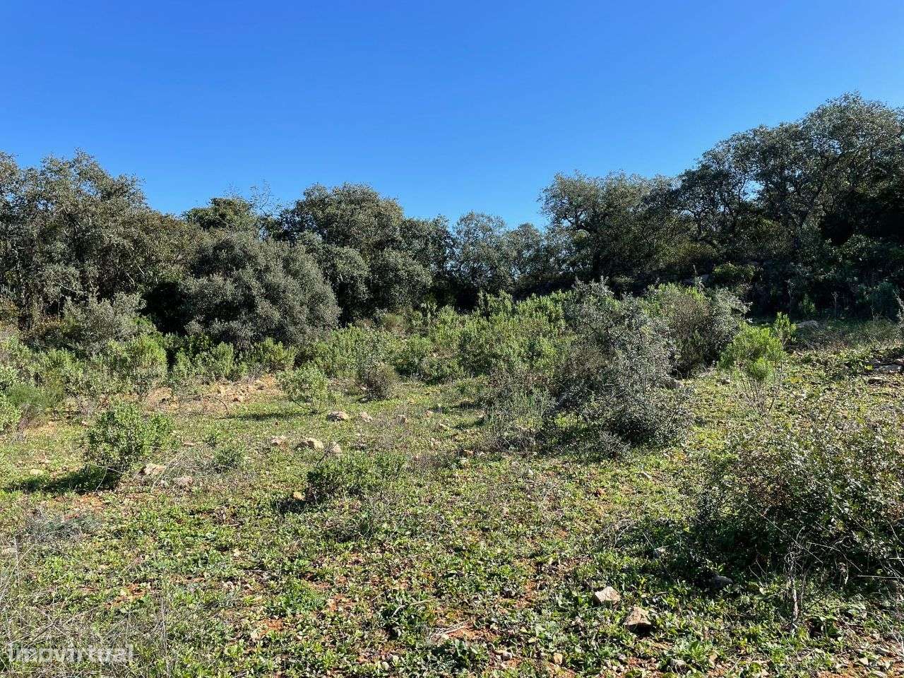 Terreno Rustico No Sitio do Peral - Grande imagem: 4/9