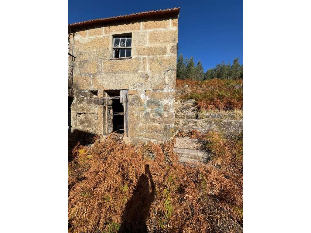 Quinta com Potencial em Marco de Canaveses-16