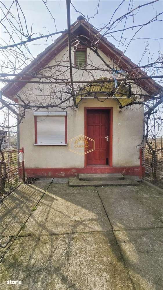 VIDEO | Teren generos, cu livada si casa de vacanta in Satu Mare - Imagine principală: 5/10