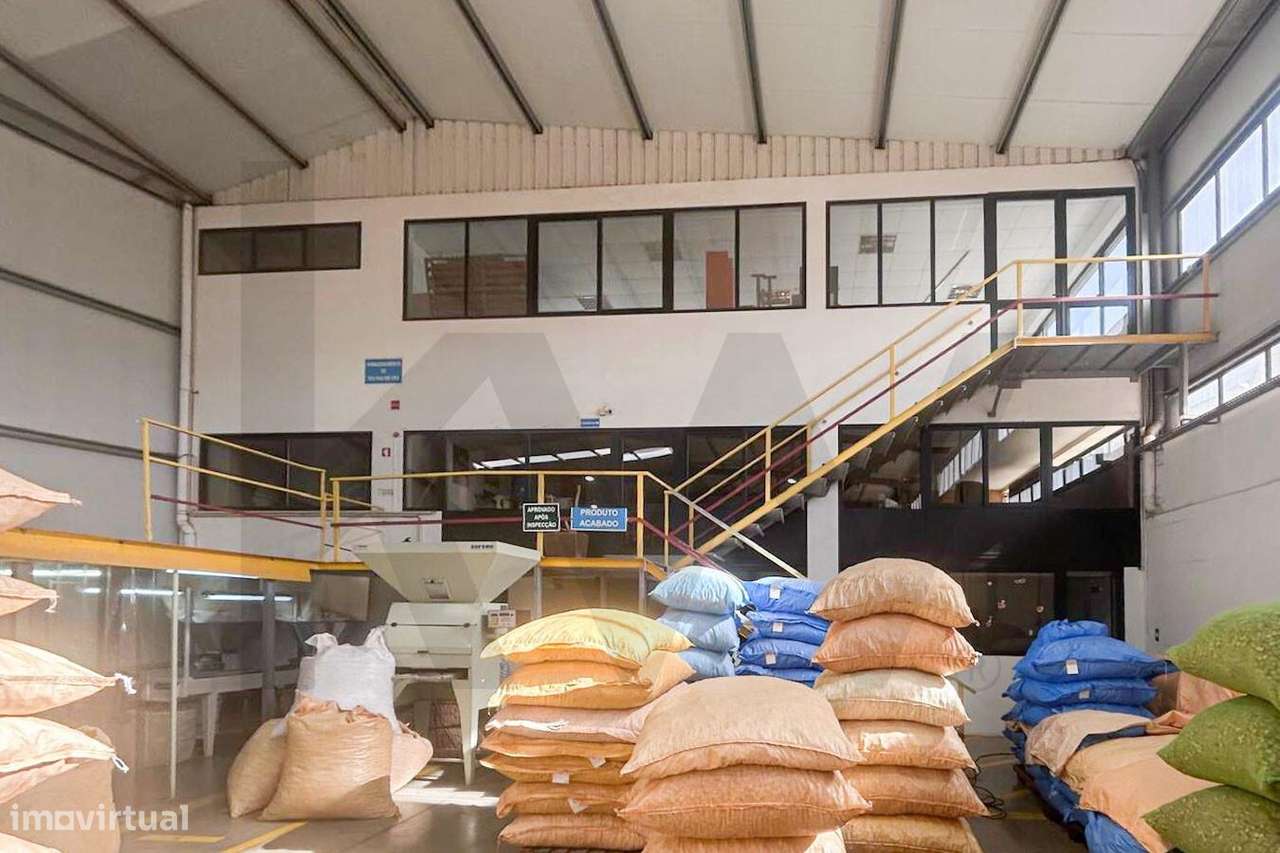 Armazém Industrial | Zona Industrial do Casalinho – Lourosa - Grande imagem: 4/18